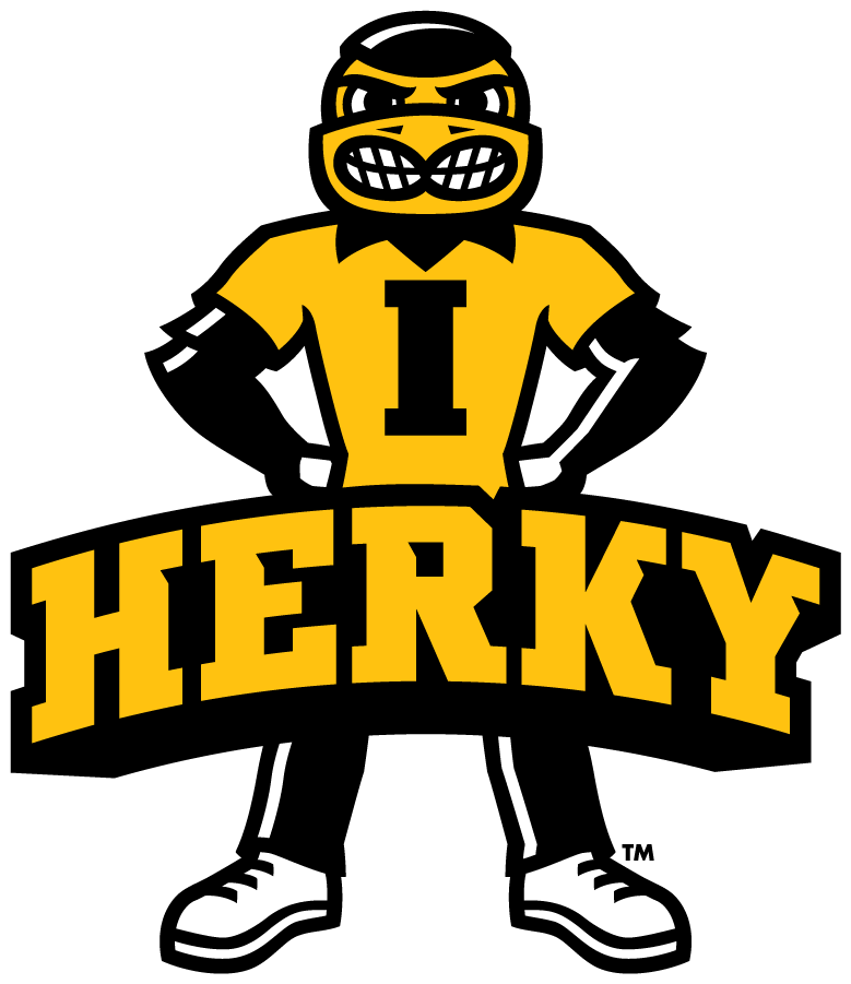 Iowa Hawkeyes 2013-Pres Mascot Logo iron on transfers for T-shirts